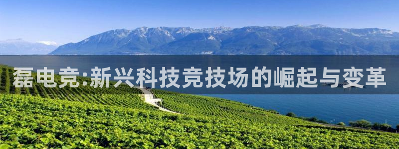 im电竞直播app下载