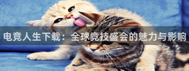 im电竞平台下载ios